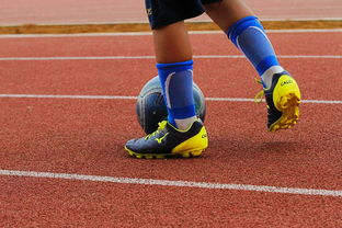 爱游戏体育-中国篮球青少年篮球发展政策实施现状与改进建议,青少年篮球培训现状的调查与分析